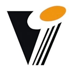 V Logo